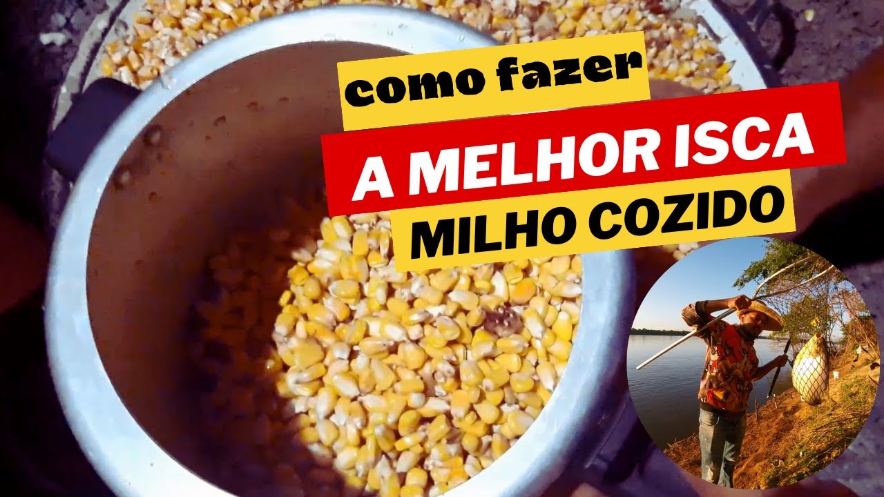 como fazer milho cozido para pesca A melhor isca de milho que vc vai ver hj