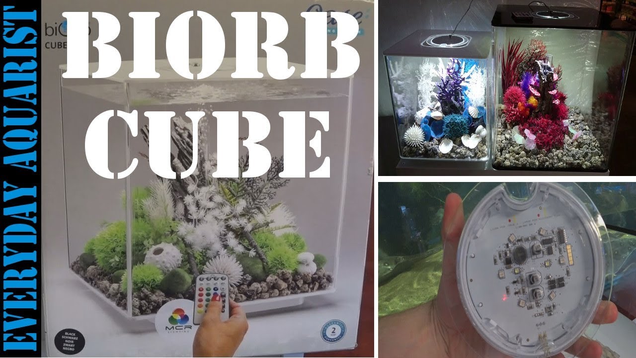 Oase BiOrb Cube 30 60 Unboxing, Review & Setup