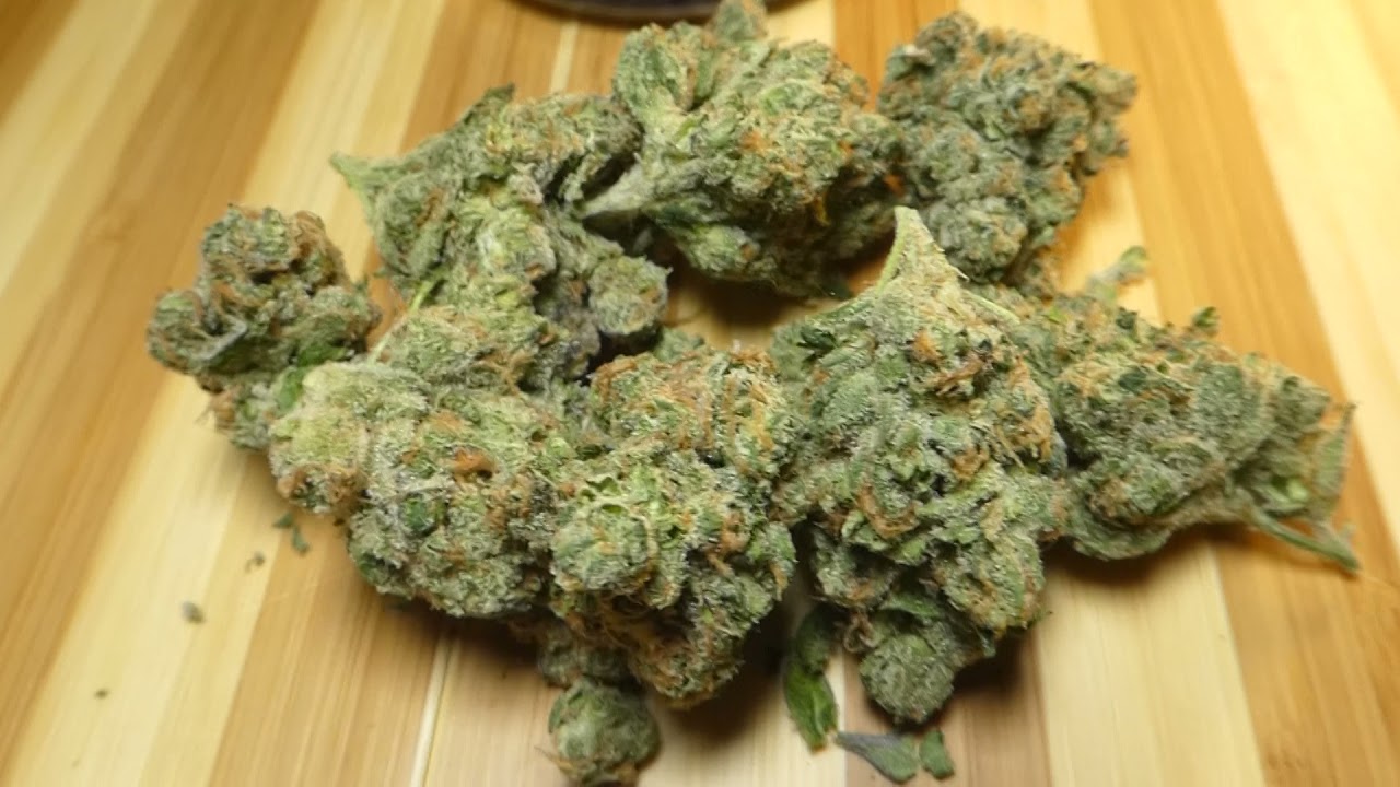 Josh D OG by Classics.to