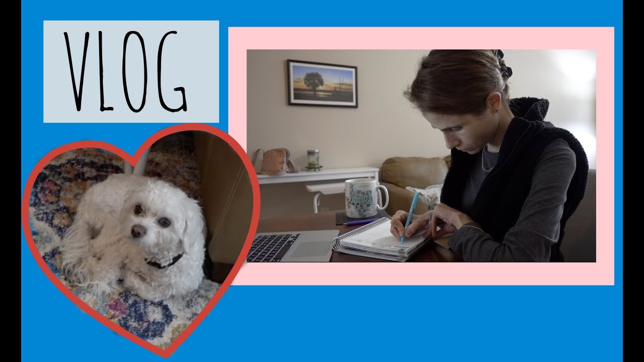 VLOG: PRODUCTIVE & RELAXING SUNDAY| DR DRAY