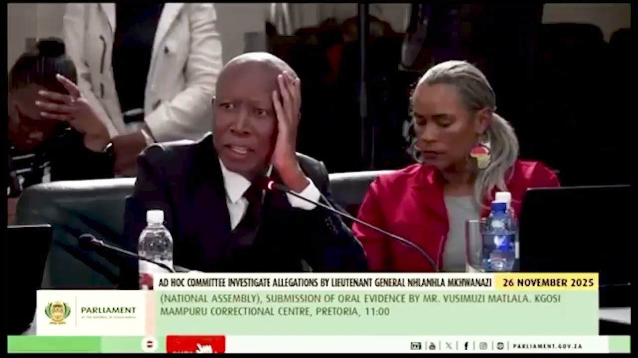 EFF President Julius_S_Malema cross examination of Cat Matlala