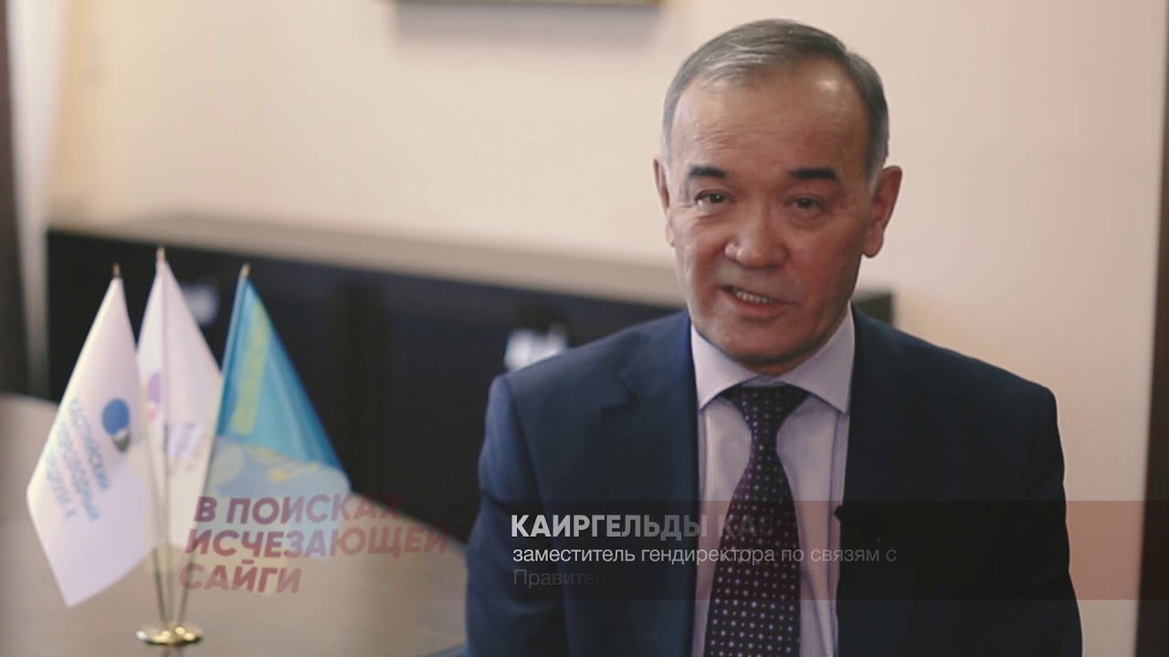 Зачем Каспийский трубопроводный консорциум участвует в проекте по мечению сайгаков?