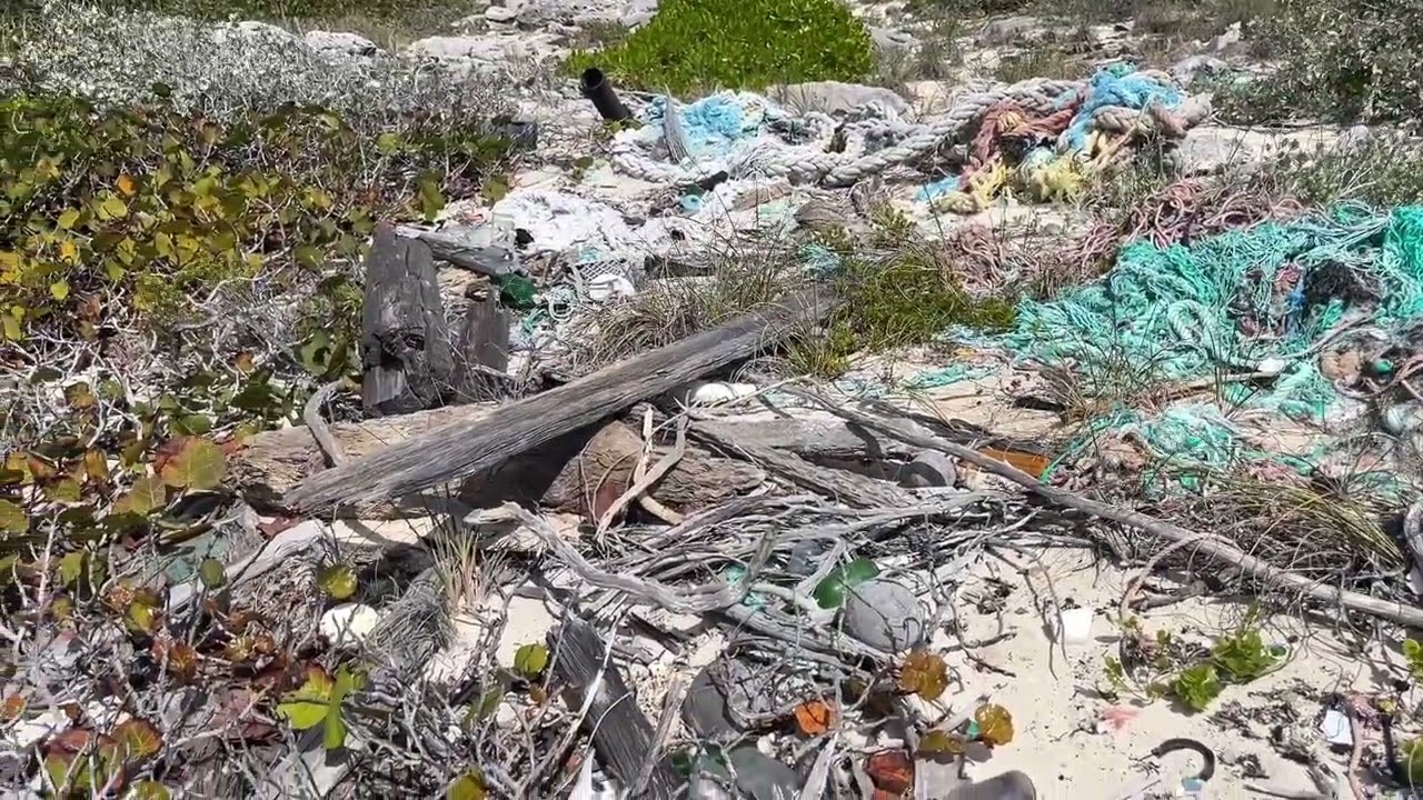 Beachcombing on Flip Flop beach.  One man's trash = our Treasure #beachcombing #scavenging #bahamas