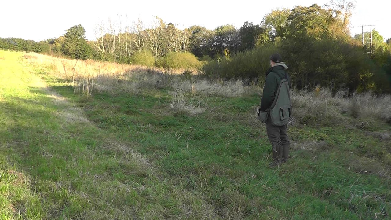 Dave Ross with Ravenshall Gundogs