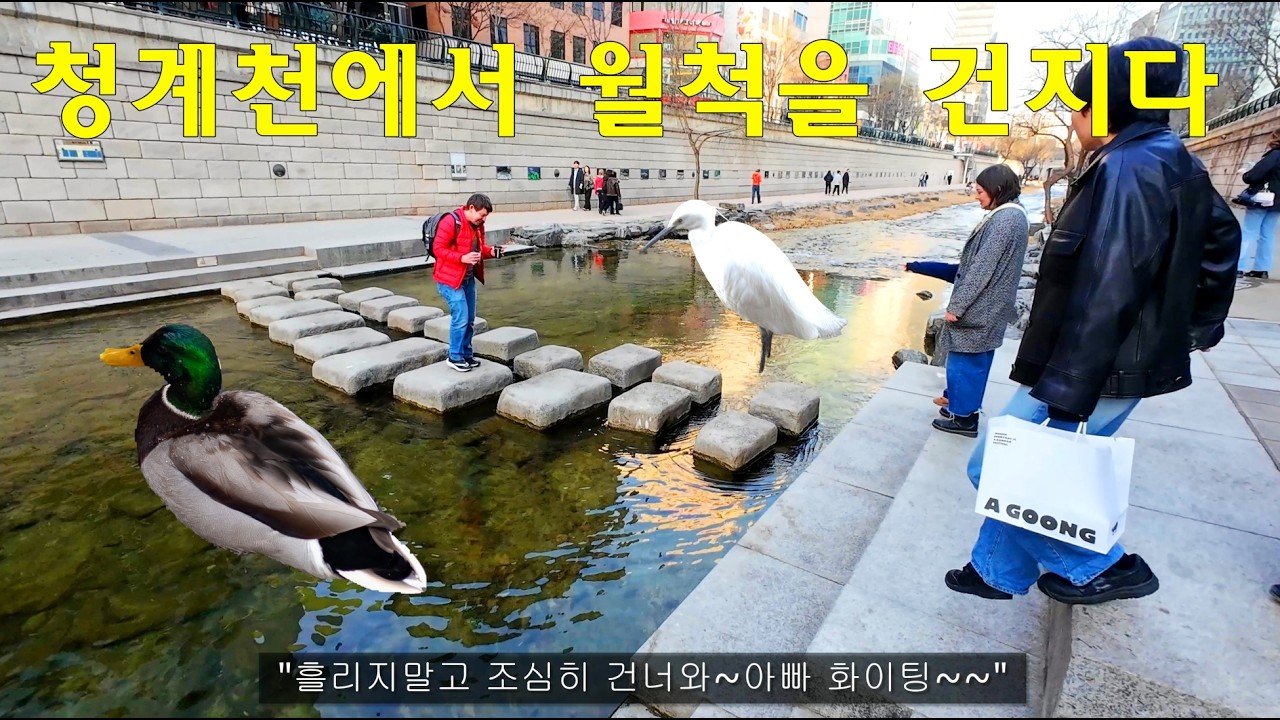 외국관광객들과 시민들이 봄이 오기도 전에 청계천을 찾는이유?