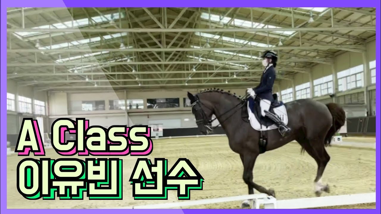 [승마] 이유빈 선수 | A Class 시합영상 | 평보 좌속보 구보 | Y♡U 당신이 주인공 | DK Horse | 마장마술 | 승마대회 | 승마시합 | 승마선수 | Vlog