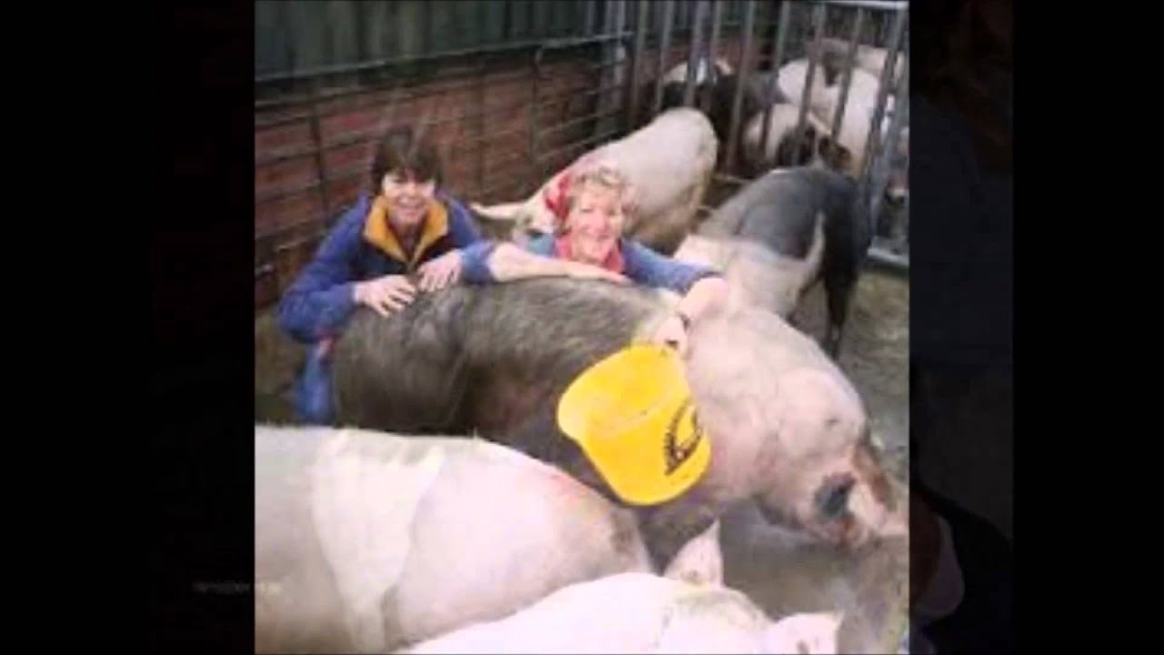 biggetjes knuffelen