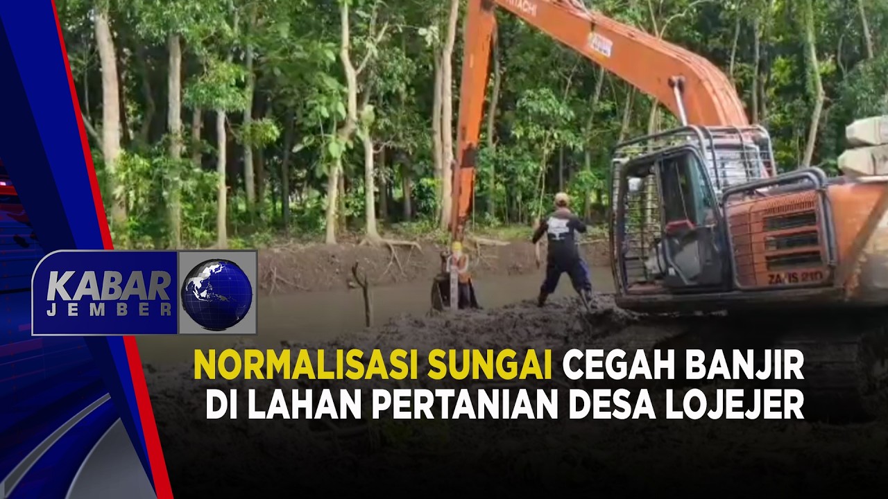 Normalisasi Sungai Cegah Banjir di Lahan Pertanian Desa Lojejer | KABAR JEMBER