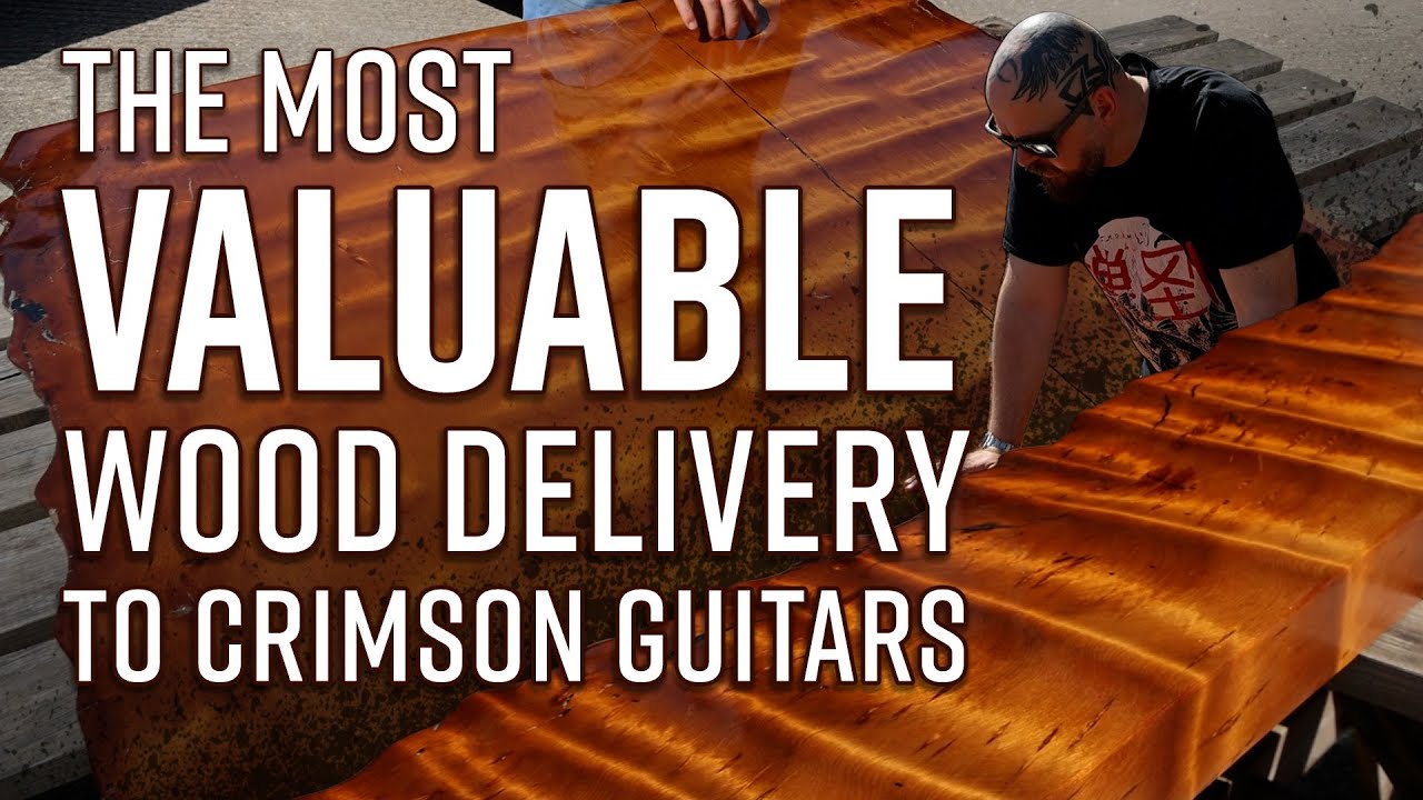 Crimson's OLDEST and Most Valuable Wood - To Build a Guitar from 42000 Year Old Wood