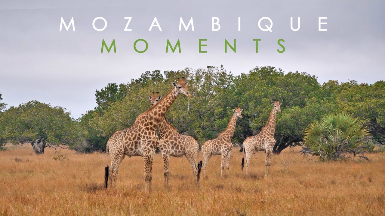 Mozambique Moments