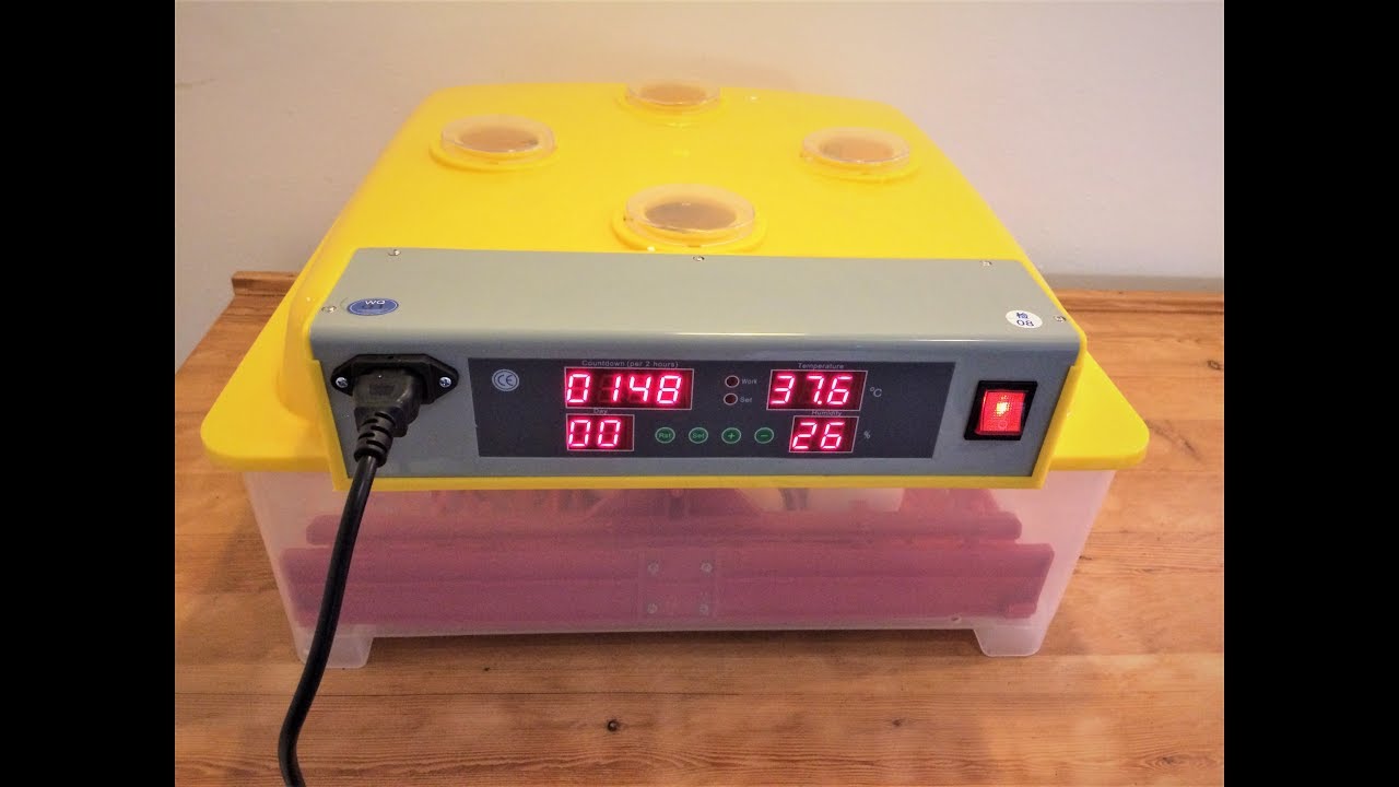 Kleinveeservice Budget broedmachine 60 eieren