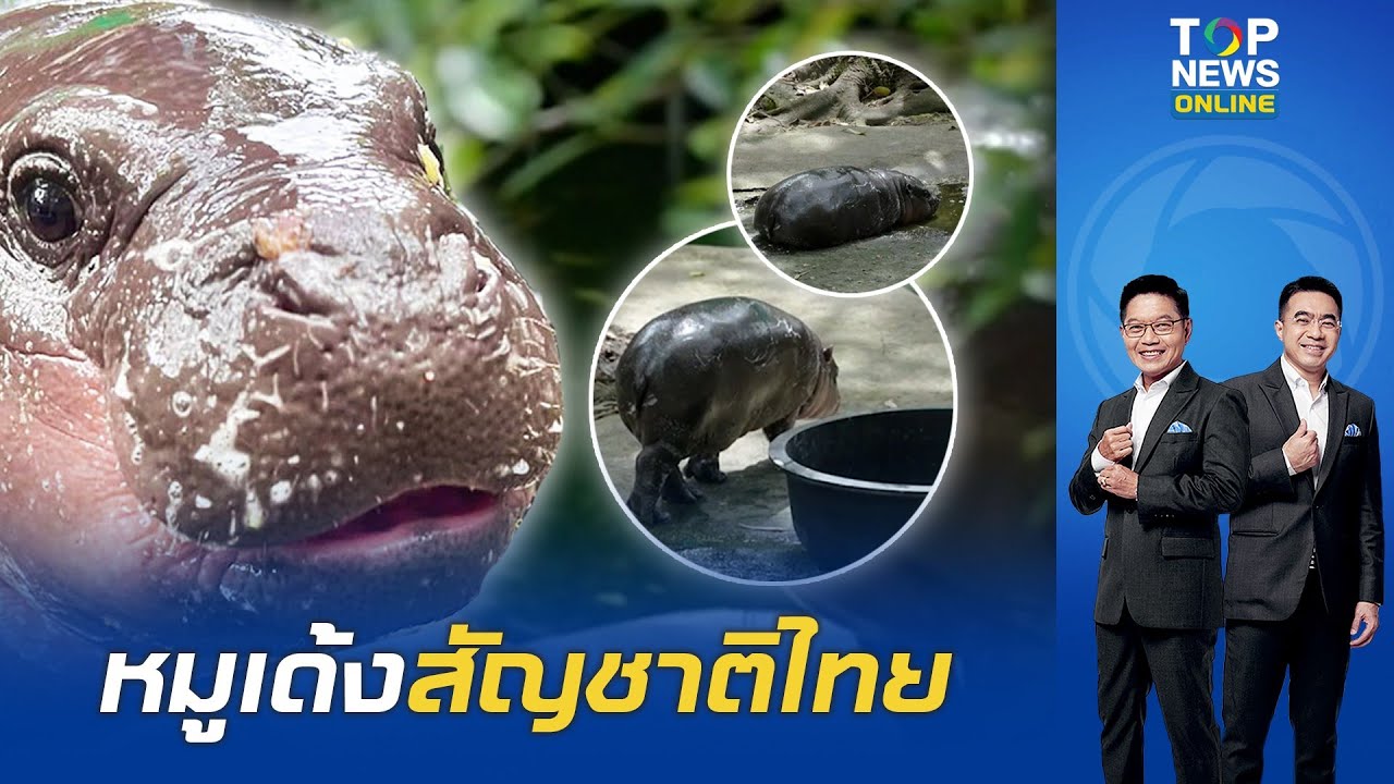 งานนี้มีอาย 