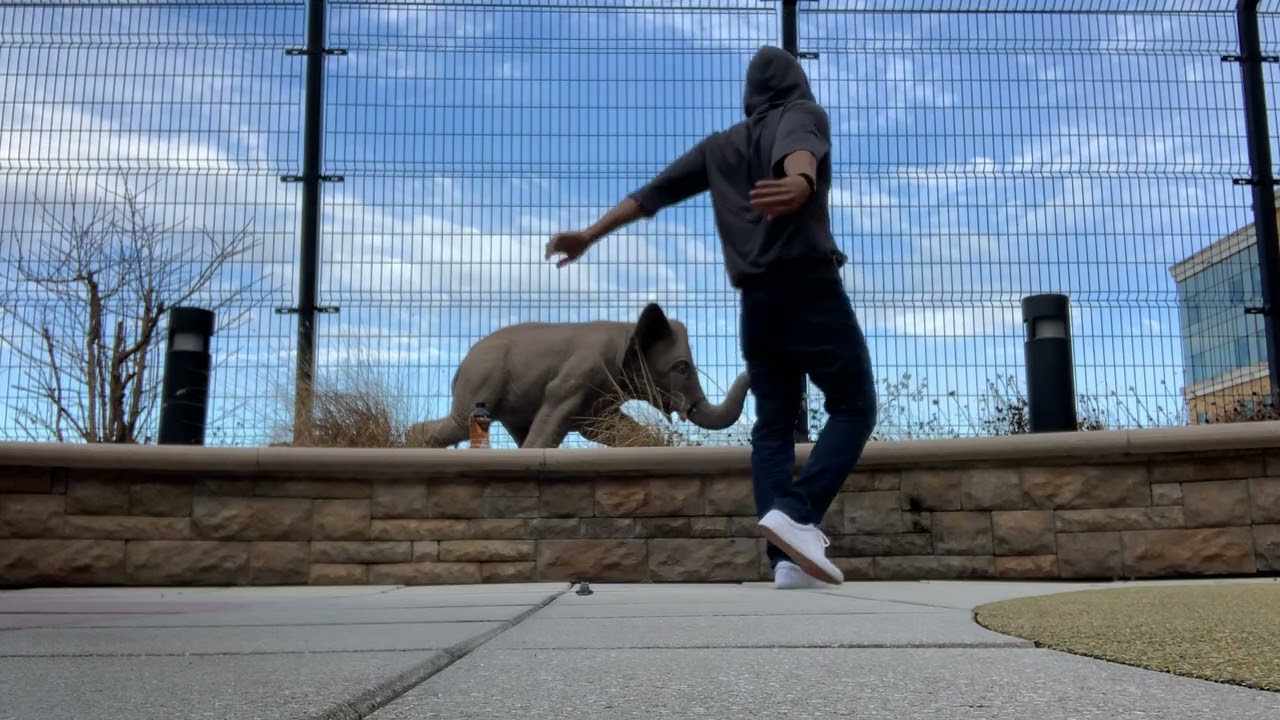 150 Navy Seal Burpees in 30 Minutes Routine