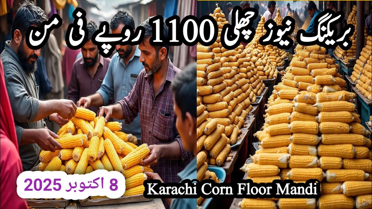 کراچی سبزی منڈی چھلی 1100 روپے من / #easylifewithguria   