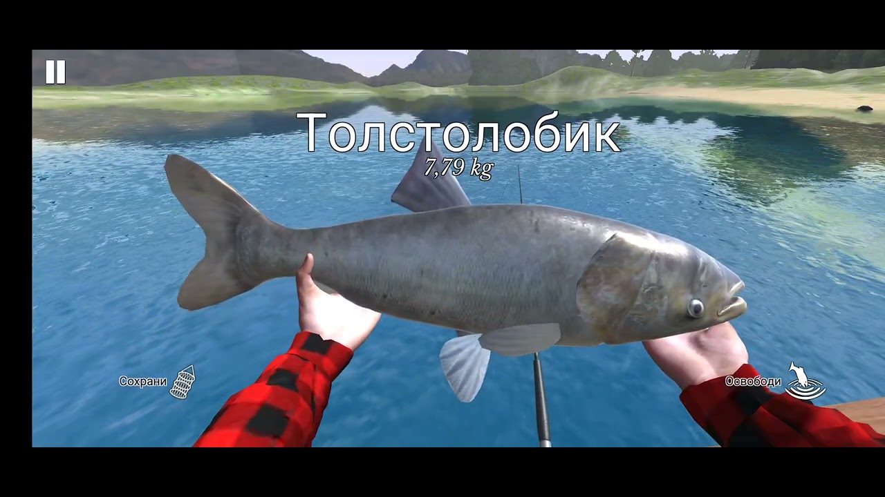 17 февраля 2026 г.