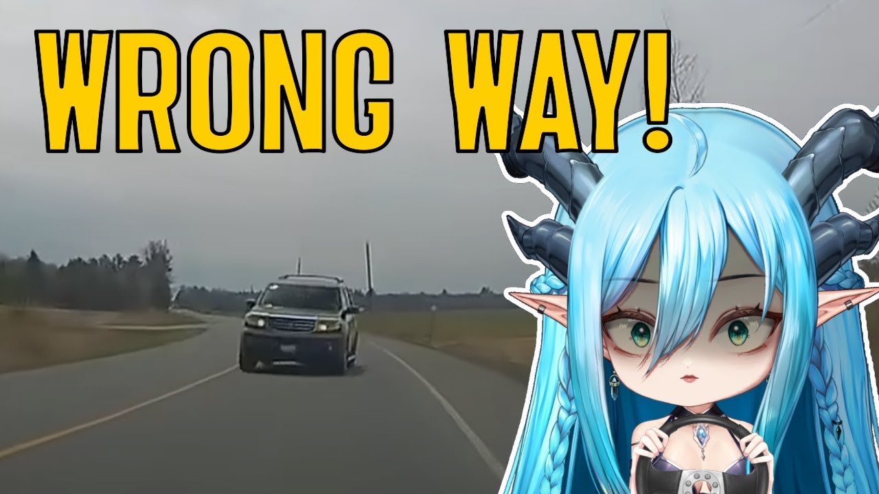 Stay on the correct side of the road!!! Dragonspit Reacts: Idiots in Cars