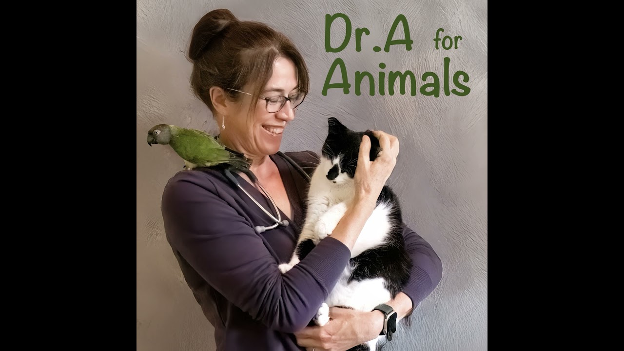 Supporting pets through normal aging, age related diseases, and osteoarthritis