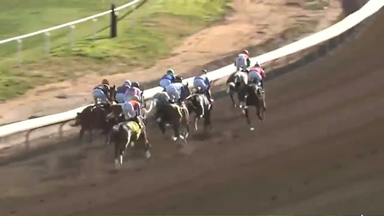 R7  Turf Paradise 24 Feb 2026
