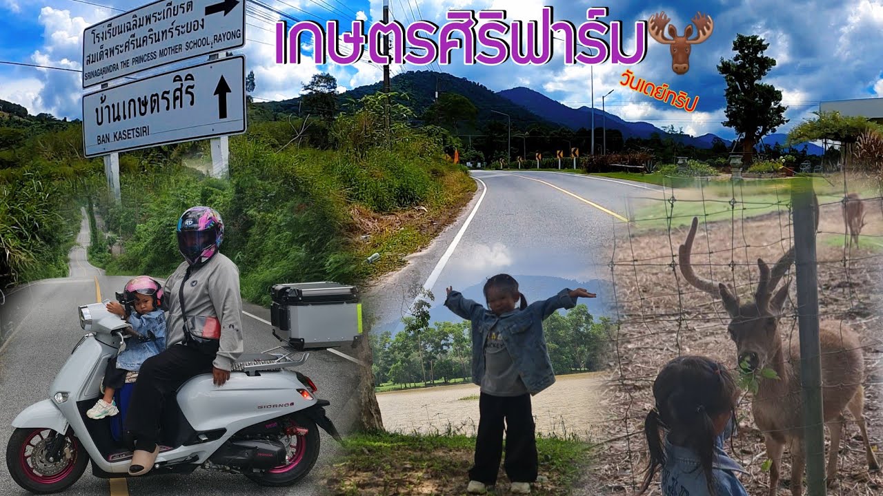 #พาลูกเที่ยว ถนนสวยใกล้ชิดธรรมชาติ บรุคไซด์วัลเล่ย์&เกษตรศิริฟาร์ม