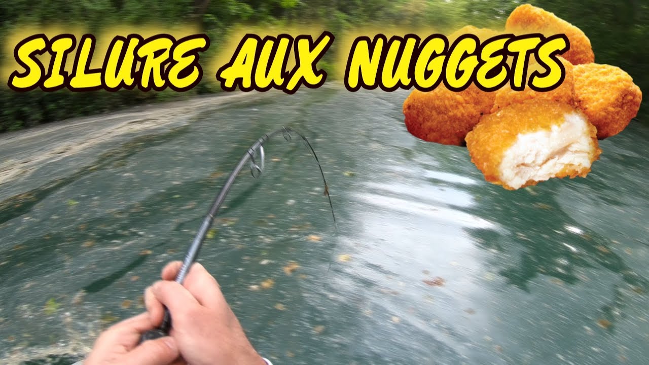 SILURE AUX NUGGETS BURGER KING !