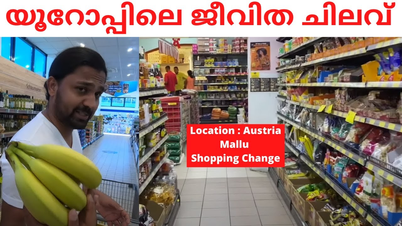 cost of living in Europe Austria Mallu Shopping Challenge | Europe Austria Malayalam Food & Travel