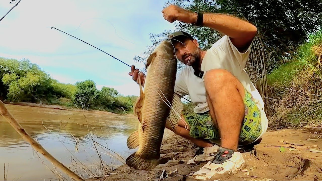 VIDEOS de PESCA, como pescar con ca&ntilde;as de pesca. lo mejor de pesca urbana 2024