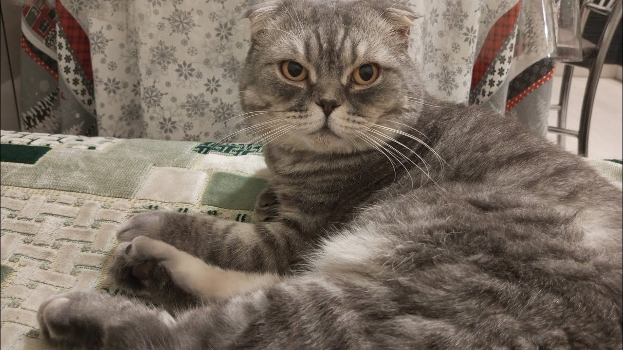 БЛАГОДАРЮ ВАС, ДРУЗЬЯ 🤗🥰
