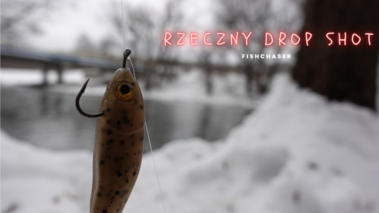 rzeczny DROP SHOT! Sandacze i szczupaki ?!