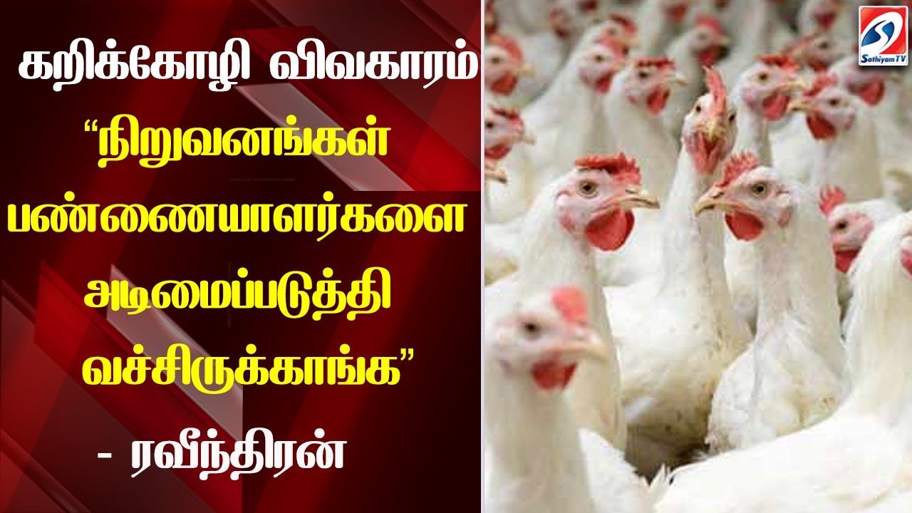 கறிக்கோழி விவகாரம் - 