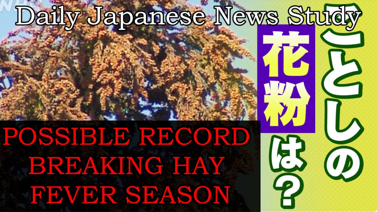 Allergy Season in Japan Starts Soon! (NHK Easy News-Japanese News for Study)(2026-02-17)