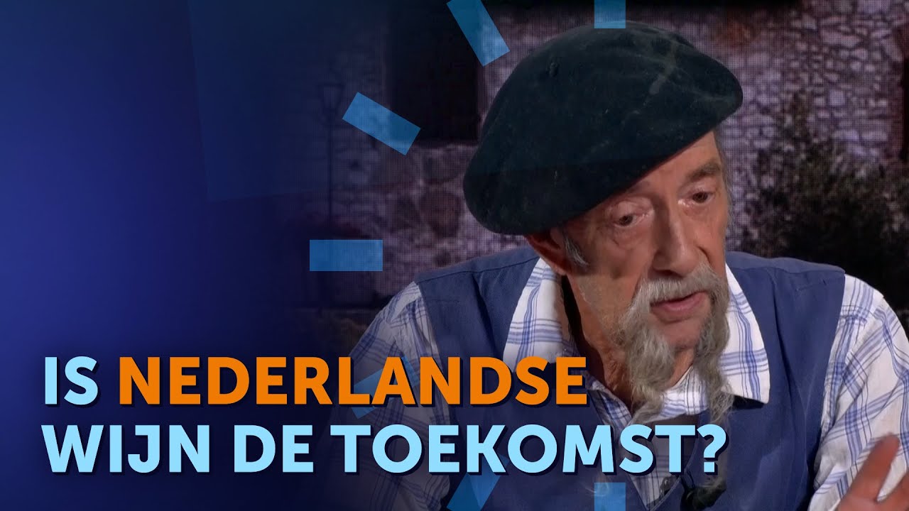 DRINKEN we straks ALLEEN nog NEDERLANDSE WIJN?
