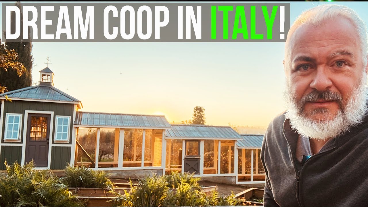 Building the Perfect Chicken Coop in Italy – Full Tour!
