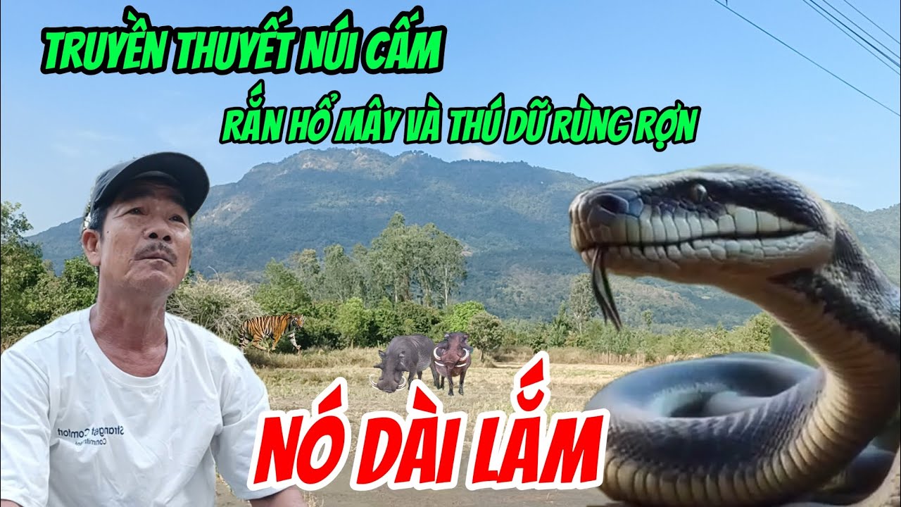 Câu chuyện ly kỳ về vùng đất thất Sơn Núi Cấm kể về Rắn Hổ Mây Khủng rùng rợn