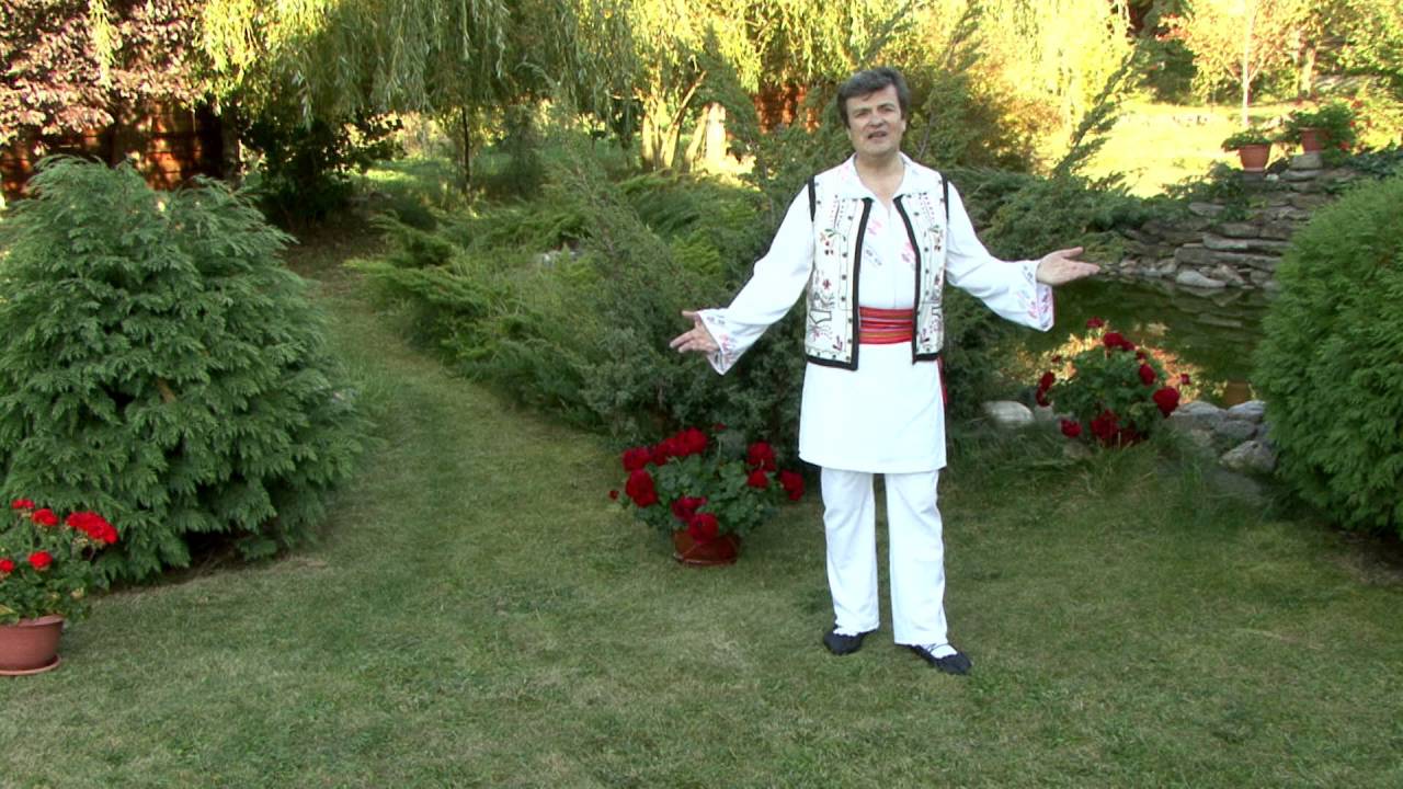 Florian Rosan   Paharut cu floricele