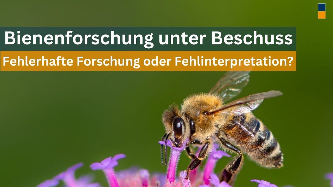 Geheimnisse der Bienen-Navigation: Kann man der Wissenschaft wirklich vertrauen?