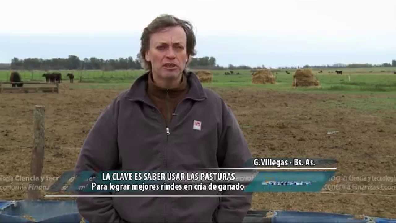 La clave es saber usar las pasturas