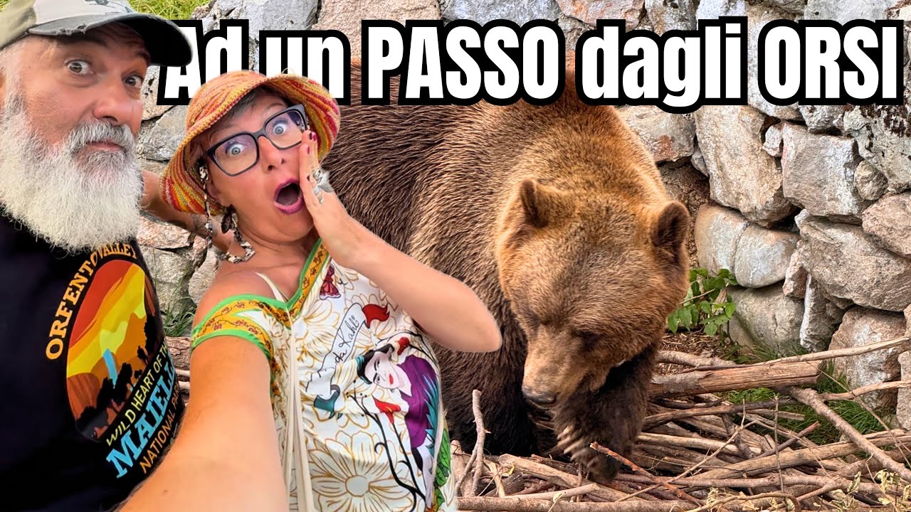 Orsi!!! Croazia 2025