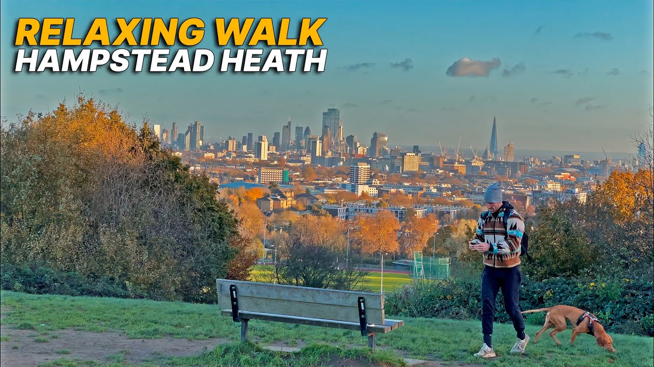 Exploring London's Hampstead Heath with fantastic view of the capital, a relaxing walking route 🍂🌇