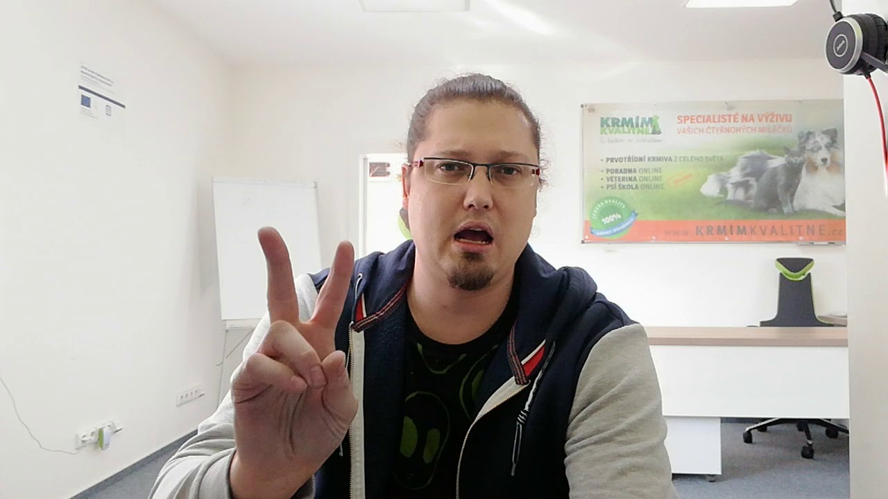 Denní štěky: Jak pomoci psovi, co má průjmy?
