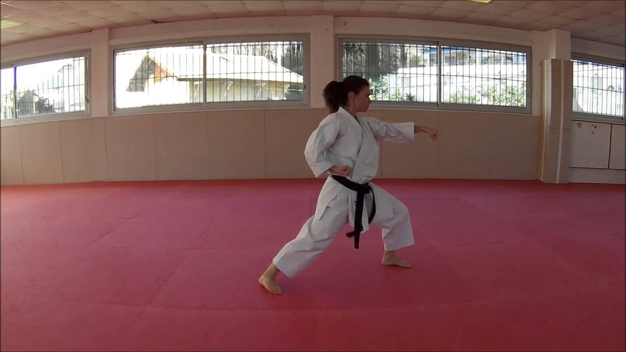Heian Shodan - Karate Training Sonia Fiuza