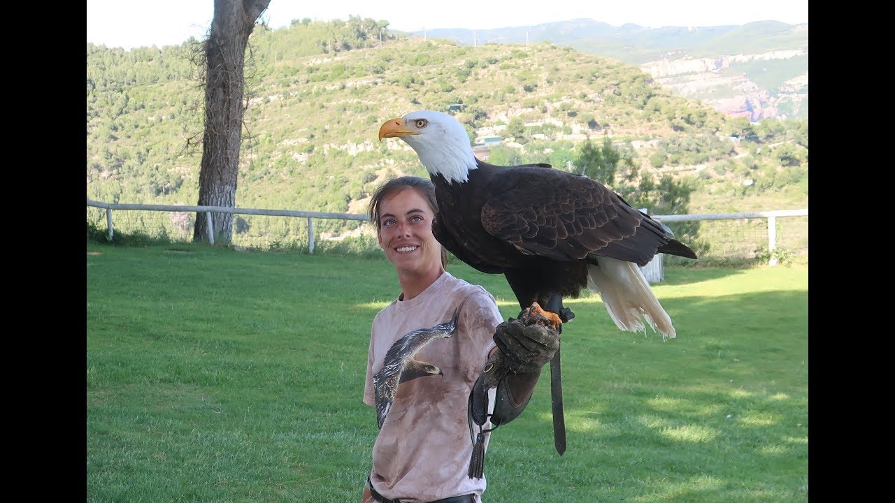 LA CIMA DE LAS AGUILAS