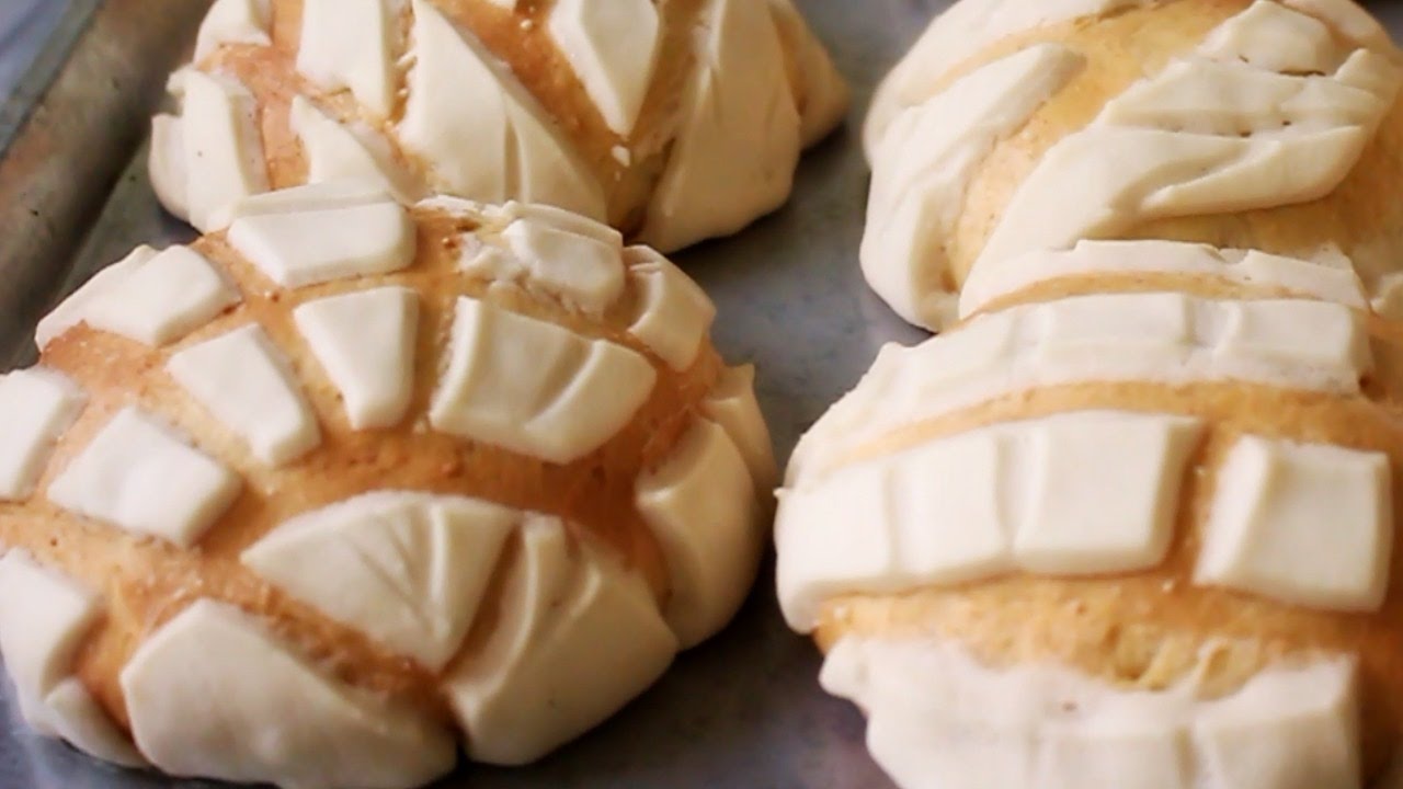 CONCHAS | ALE DE NAVA