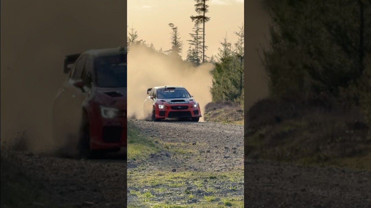 If in doubt, FLATOUT!🚗💨#rallying #rally #subarurally #subaru #subaruwrx #rallycar #racecar