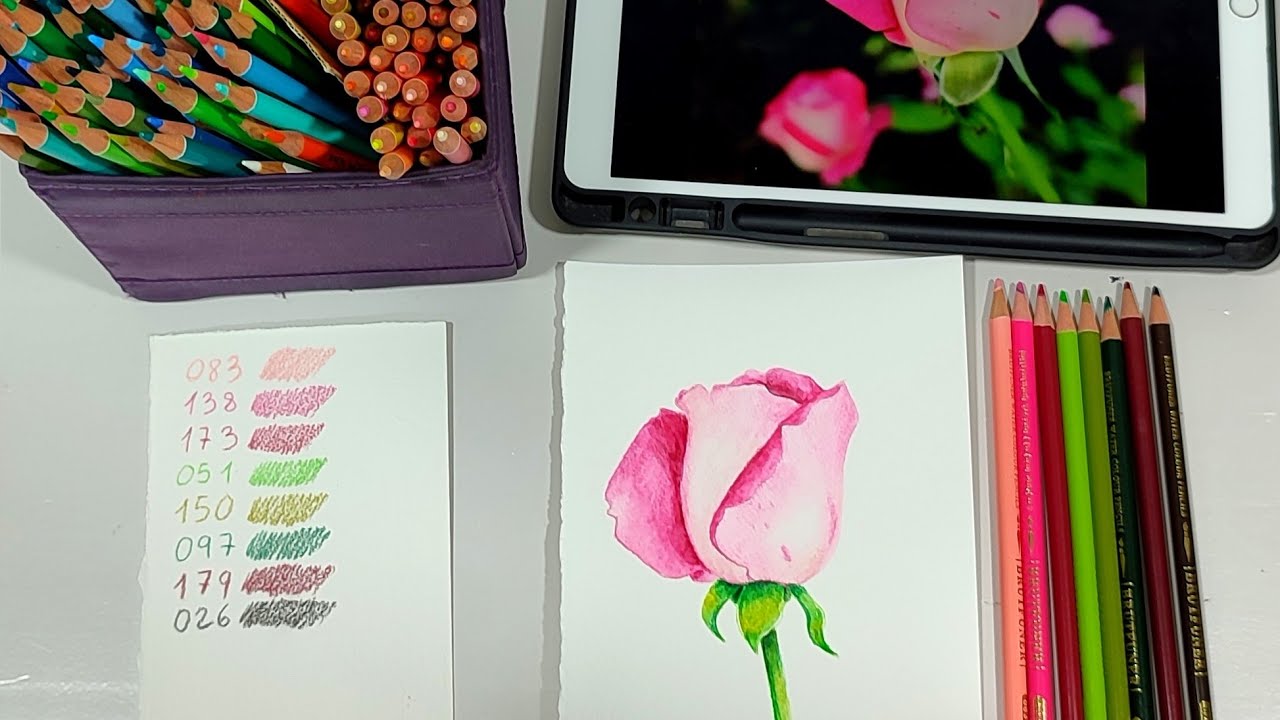Cómo dibujar una rosa fácil con lápices de colores acuarelables Brutfuner.