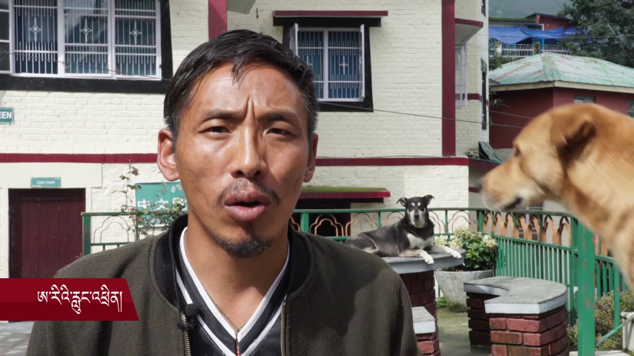 ལུང་རིགས་རྒྱ་མཚོ།