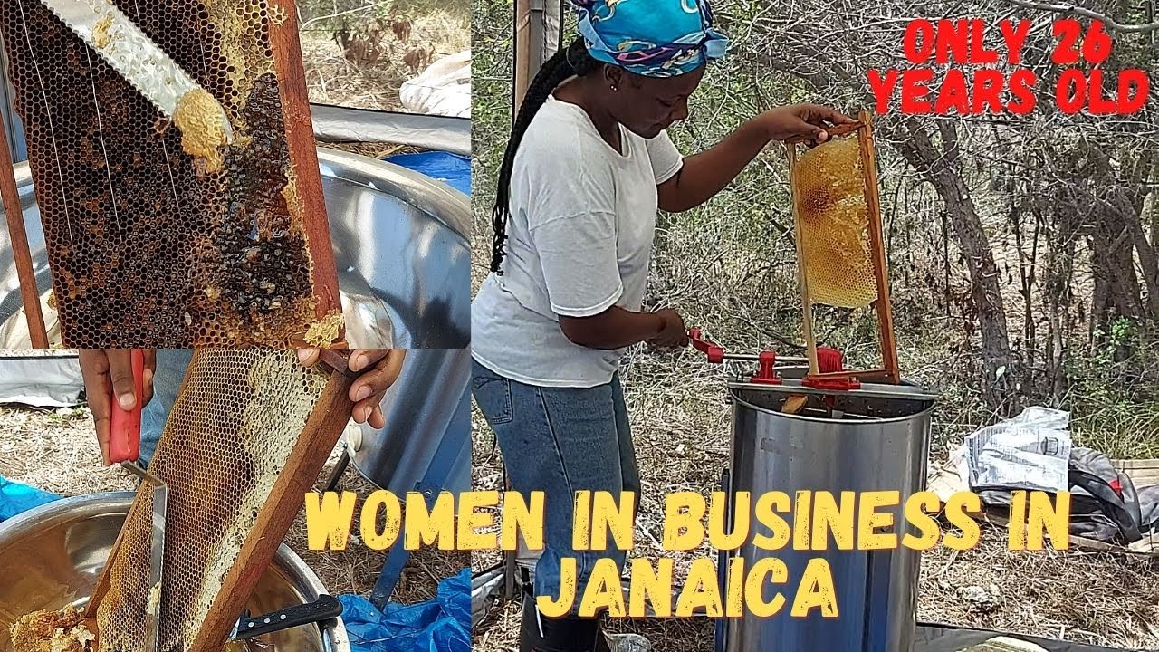 HONEY EXTRACTION IN JAMAICA| JAMAICAN FEMALE EXTRACT HONEY IN THE MOST UNIQUE WAY| LOVE OF HONEY