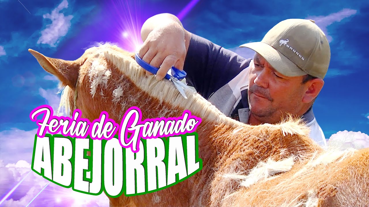 Trochas y Senderos 
