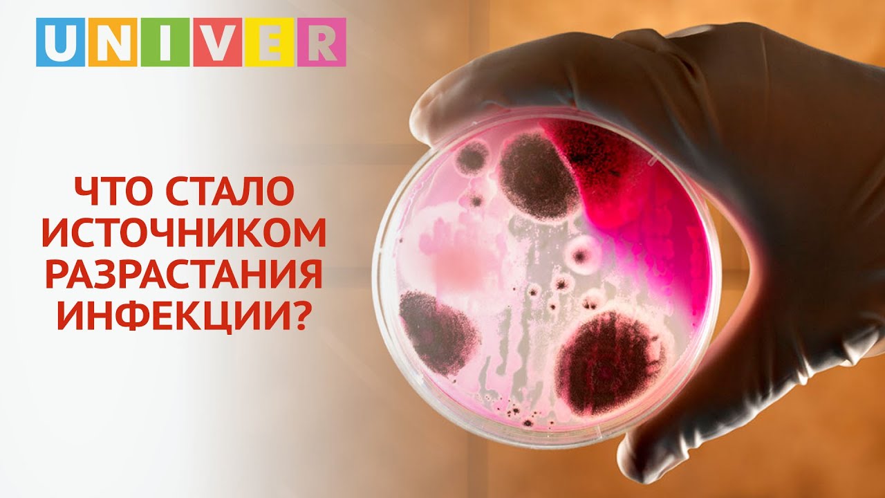 СИБИРСКАЯ ЯЗВА ПОРАЖАЕТ ЧЕЛОВЕЧЕСТВО