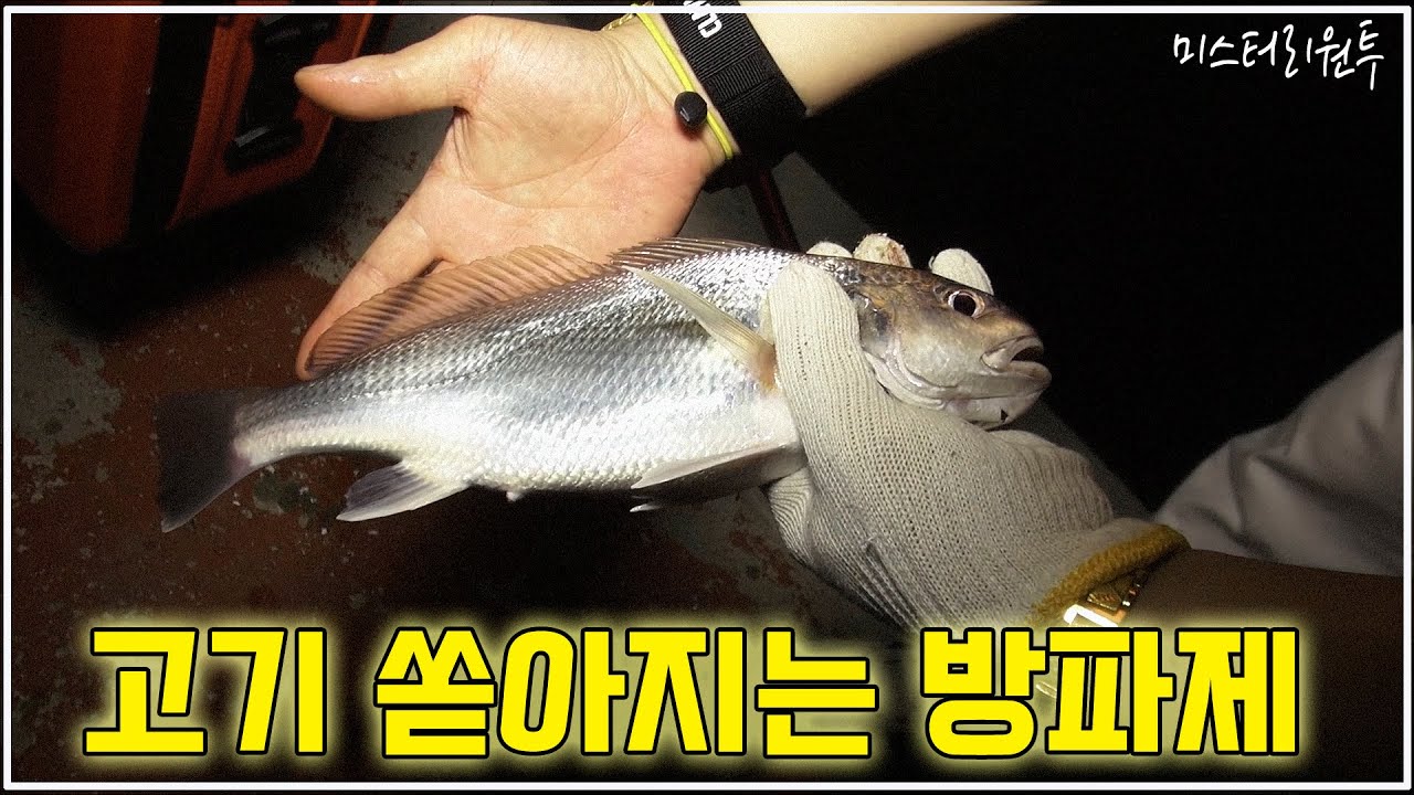 걸어가도 되고 뱃값 2,000원 내고 고기 많이 잡을 수 있는 우도방파제