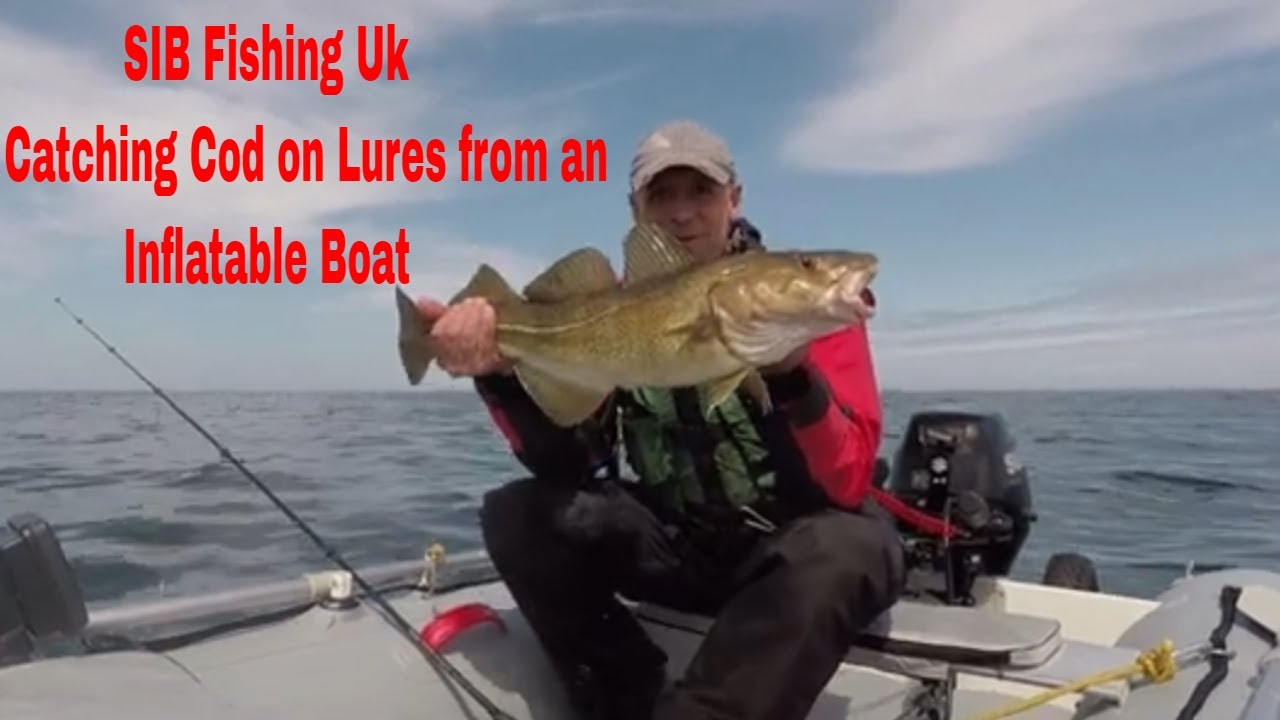 SIB Fishing UK ,Dolphins and Cod on the North East Coast.